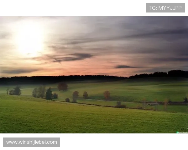 世界杯歌曲ole ole ole经典旋律，成为足球迷心中永恒的回忆