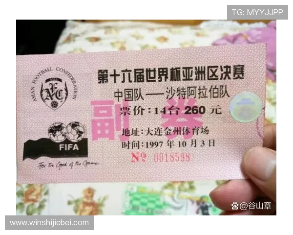 世界杯门票价格最新行情解析，购票指南全方位介绍